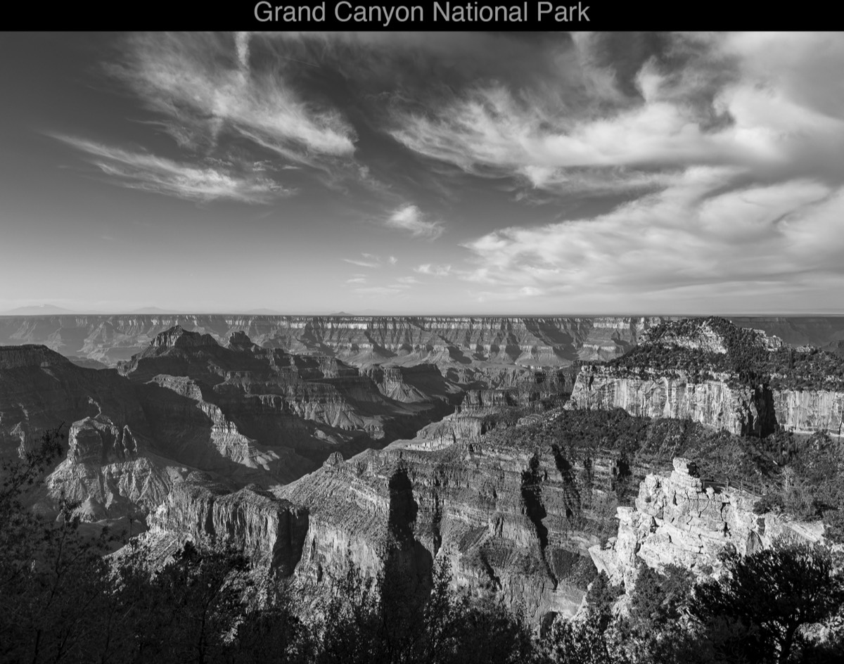 Stacks Image 354